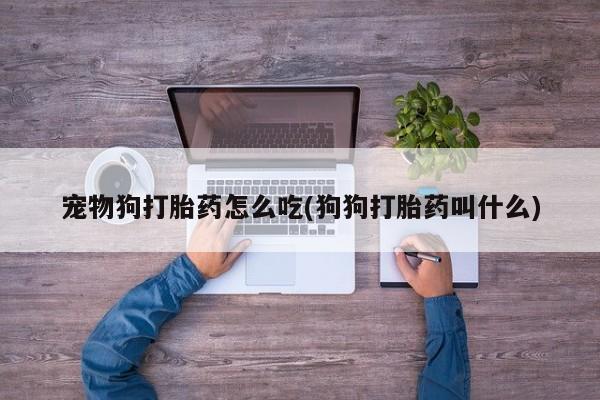 米非米索购买微信宠物狗打胎药怎么吃(狗狗打胎药叫什么)