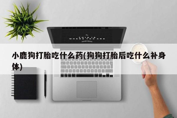米非米索购买微信小鹿狗打胎吃什么药(狗狗打胎后吃什么补身体)
