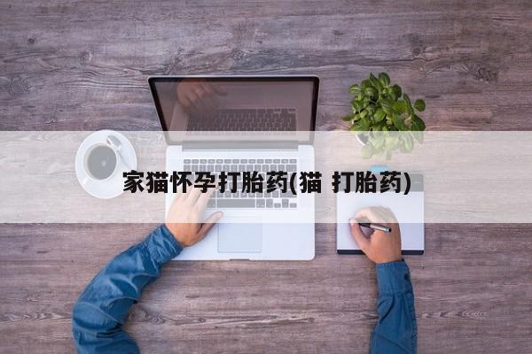 米非米索购买微信家猫怀孕打胎药(猫 打胎药)