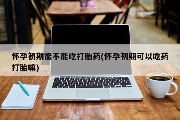 米非米索购买微信怀孕初期能不能吃打胎药(怀孕初期可以吃药打胎嘛)