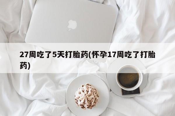 米非米索购买微信27周吃了5天打胎药(怀孕17周吃了打胎药)
